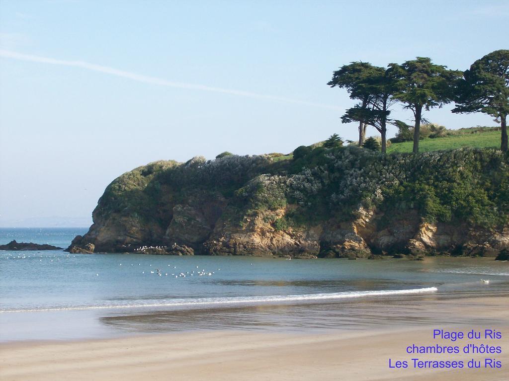Les Terrasses Du Ris Bed & Breakfast Douarnenez Exterior foto