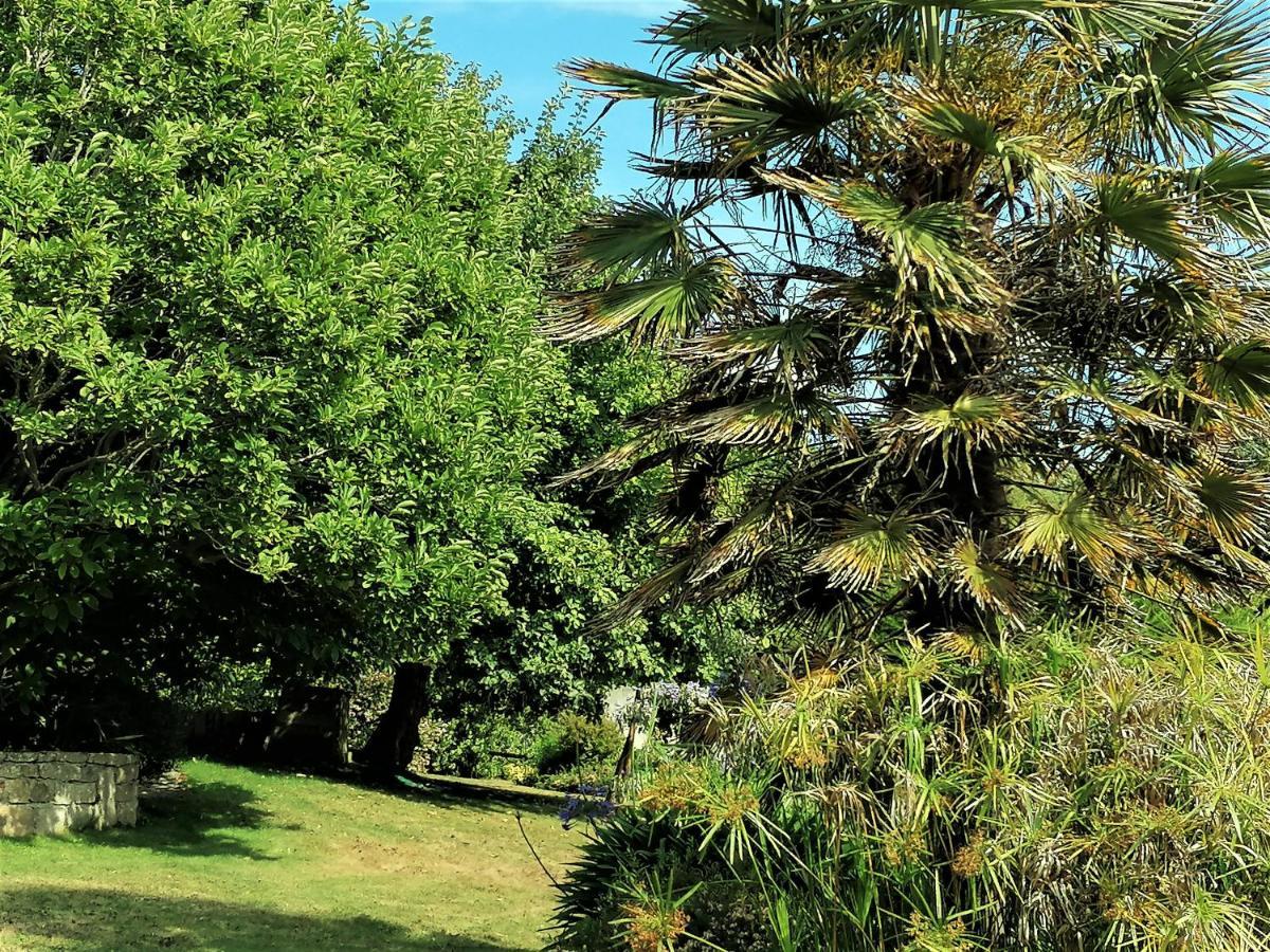 Les Terrasses Du Ris Bed & Breakfast Douarnenez Exterior foto